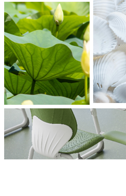 Zhejiang Huimei Indústria & Trade Co., Ltd.